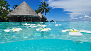 Jamaica Beach-Background-Wallpaper